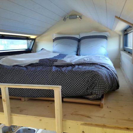 Hotel Tiny House Sur La Presqu'Ile Sauvage Lanmodez Zewnętrze zdjęcie