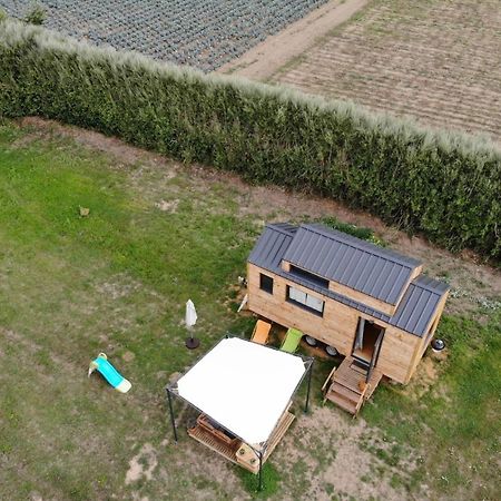 Hotel Tiny House Sur La Presqu'Ile Sauvage Lanmodez Zewnętrze zdjęcie